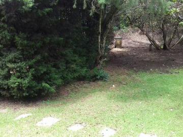 TERRENO EN SAN CRISTOBAL DE LAS CASAS HERMOSA VISTA
