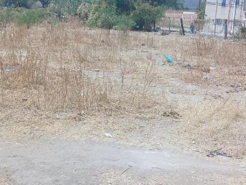 Terreno en San Fco. del Rinc?n