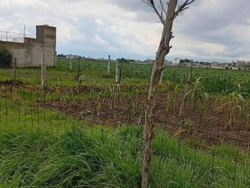 Terreno en San Felipe Tlalmimilolpan