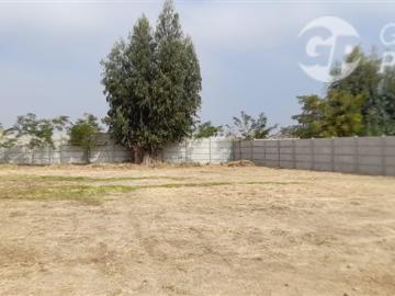 Terreno en San Francisco de Mostazal