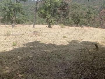 TERRENO EN SAN JERÓNIMO ZACAPEXCO
