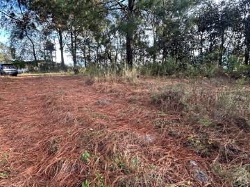 Terreno en SAN JUAN AMANALCO, VALLE DE BRAVO
