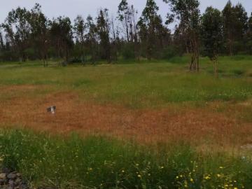 Terreno en San Nicolás