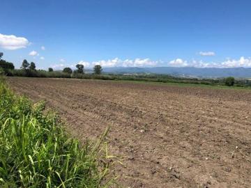 Terreno en San Sebastian Etla de 21,550 m2 en venta