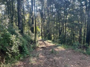 Terreno en San Simón, Valle de Bravo