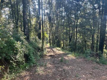 Terreno en San Sim?n, Valle de Bravo