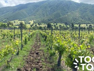 Terreno en Santa Cruz
