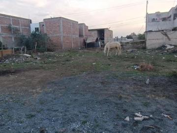 Terreno en Santa Lucia, Tesistan
