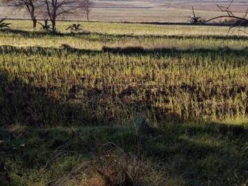 Terreno en Singuilucan, Matías Rodríguez Desde una hectárea