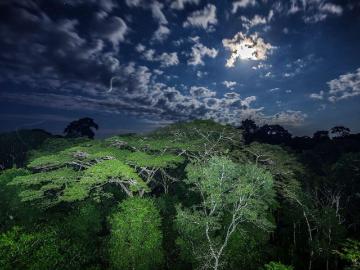 Terreno en Tambopata, Madre de Dios