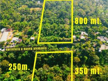 Terreno En Tapachula Chiapas M?xico