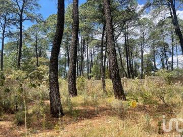 Terreno en Tapalpa 3000 mt2 El Estuche Grande