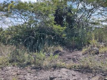 Terreno en Terreno en venta en El Chico municipio de Emiliano Zapata