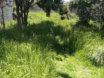 Terreno en Toluca en Venta