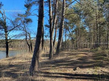 Terreno en Tomatlán en Venta de 800 ha