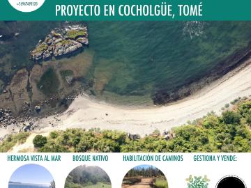 Terreno en Tomé