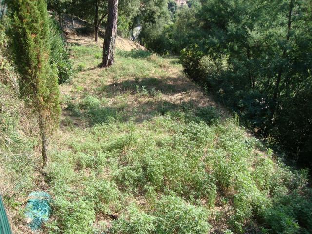 TERRENO EN URBANIZACIÓN