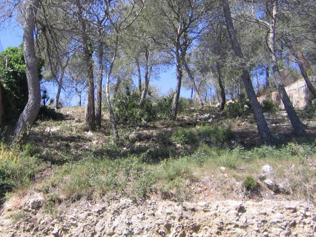 Terreno en urbanización Las Palmeras