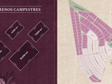 Terreno en Valle Hermoso