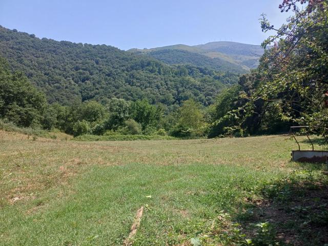 TERRENO EN VEGUILLA DE SOBA CANTABRIA