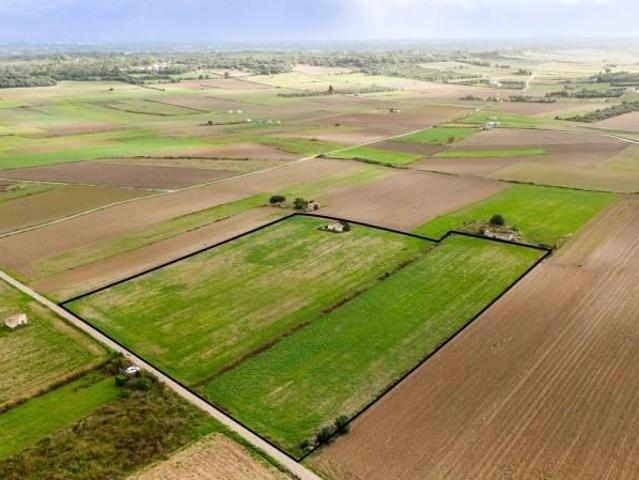Terreno en venta Muro