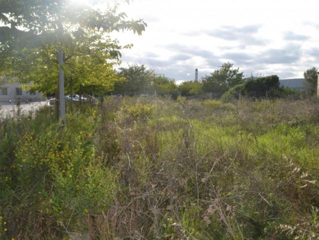 Terreno en venta Muro
