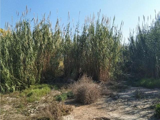 Terreno en venta Murcia