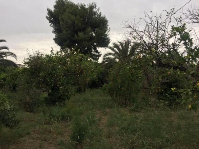 Terreno en venta Murcia