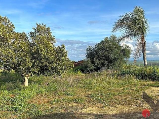Terreno en venta Mairena del Alcor