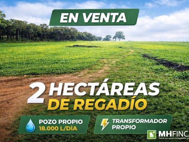 Terreno en venta Mairena del Alcor