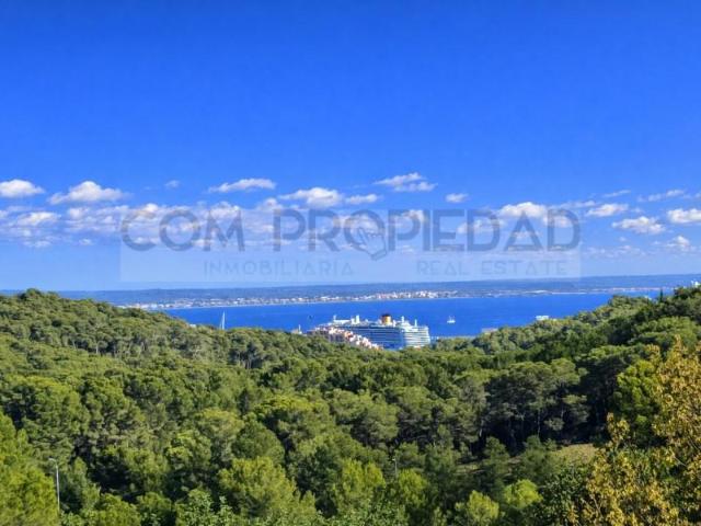 Terreno en venta Mallorca