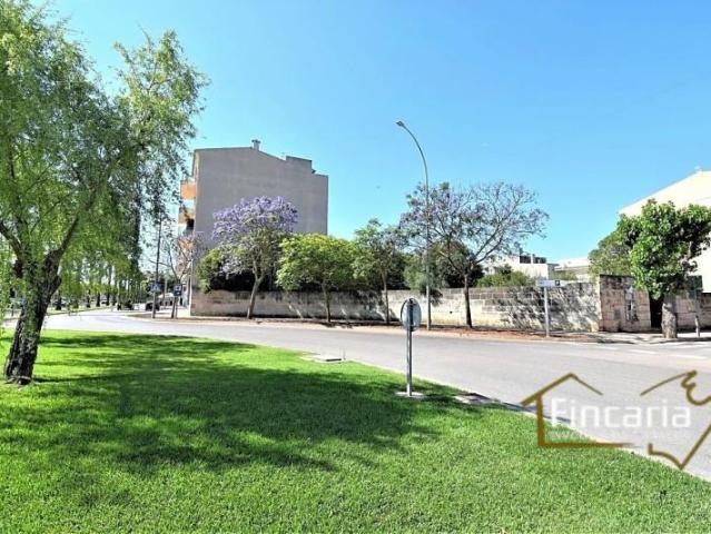 Terreno en venta Manacor
