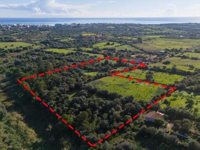 Terreno en venta Manacor