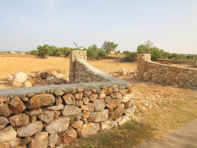Terreno en venta Manacor