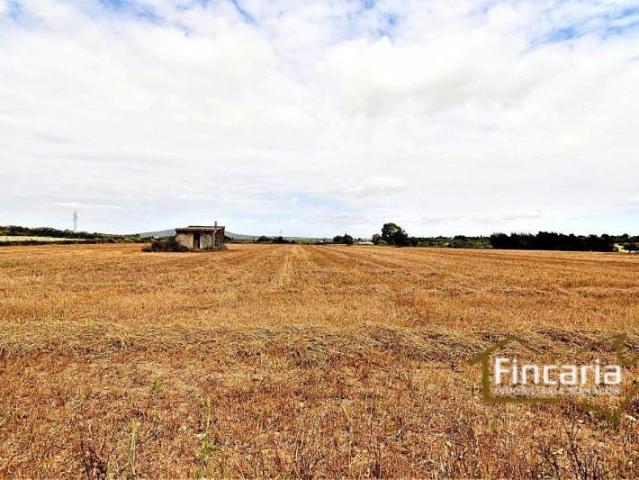 Terreno en venta Manacor