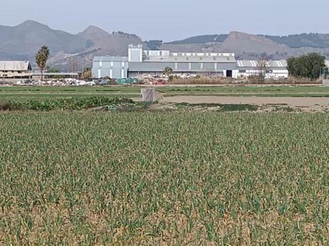 Terreno en venta Maracena