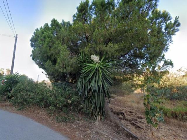 Terreno en venta Marbella