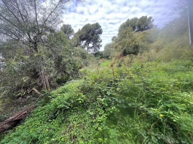 Terreno en venta Marbella