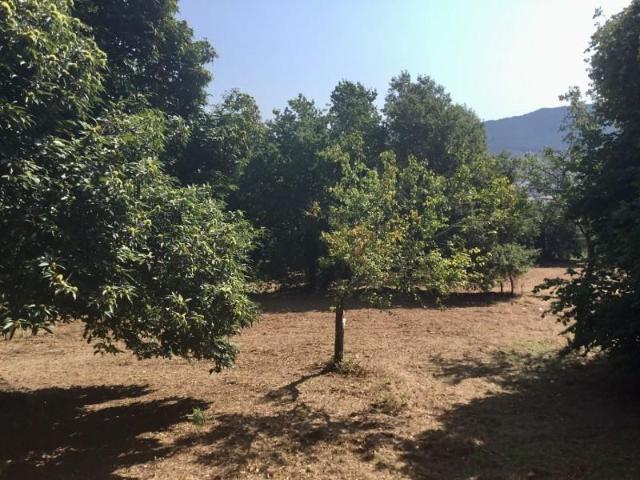 Terreno en venta Marín