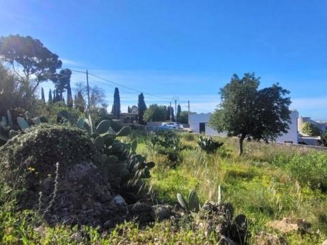 Terreno en venta Marratxí