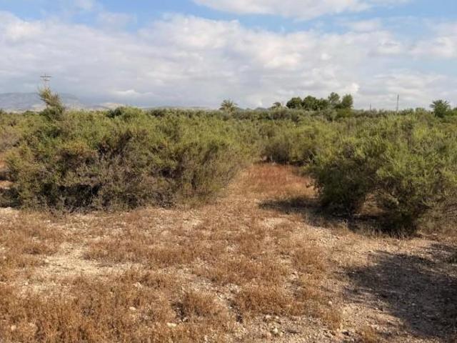 Terreno en venta Matola