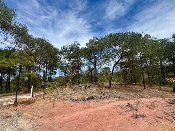 Terreno en venta Mazati Tapalpa