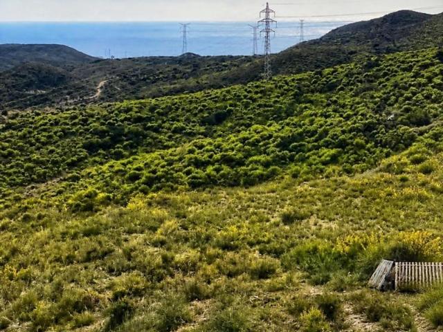 Terreno en venta Mazarrón
