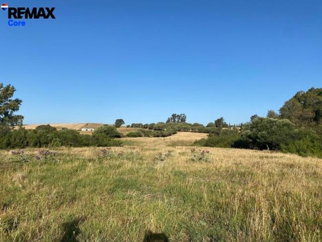Terreno en venta Medina Sidonia