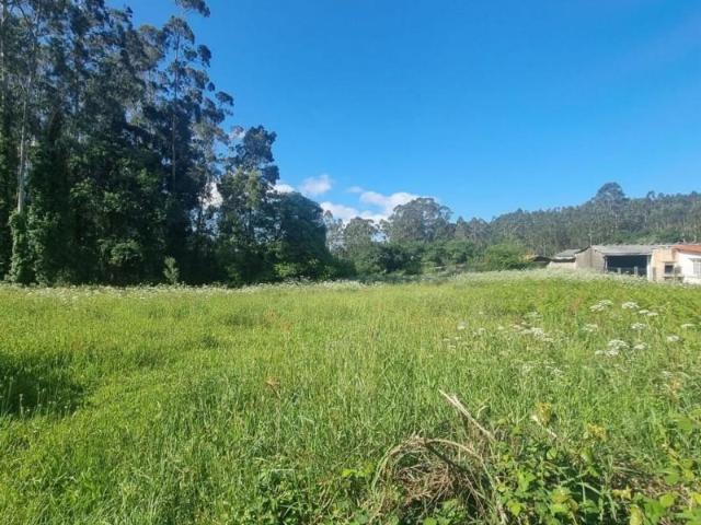Terreno en venta Meis