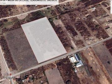 TERRENO EN VENTA – MESA DE LA CRUZ, TLAJOMULCO, JALISCO