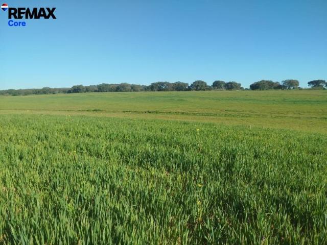 Terreno en venta Mérida