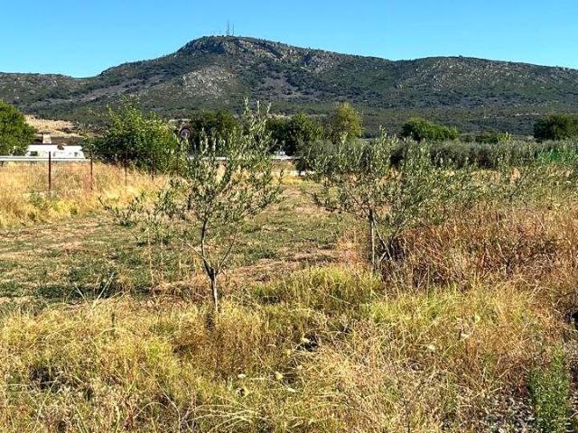 Terreno en venta Mérida