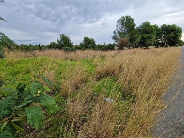 Terreno en venta Miami Platja