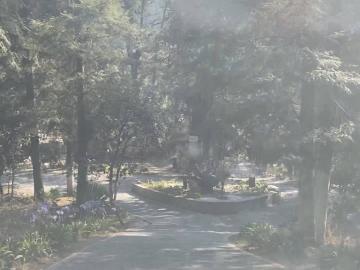 Terreno en venta Mineral del Monte, las Flores Residencia Campestre Hidalgo